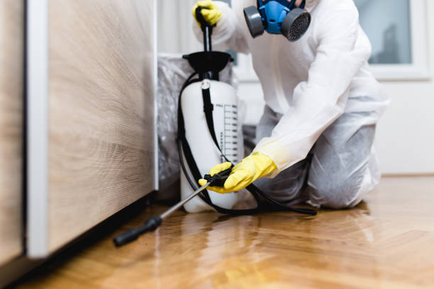 Best Pest Removal Services  in Gueydan, LA