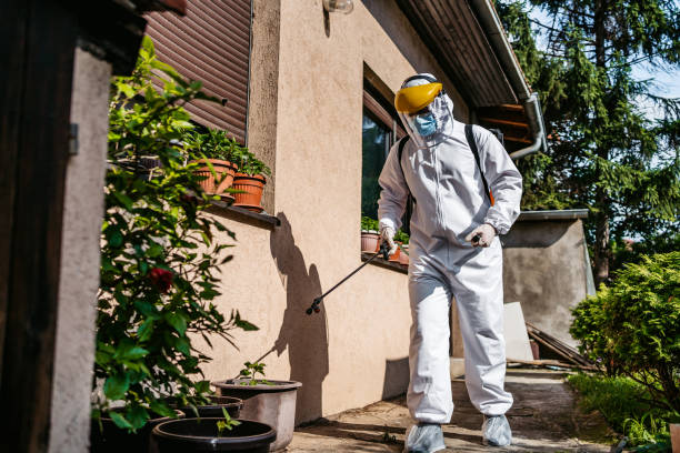 Best Termite Control Services  in Gueydan, LA