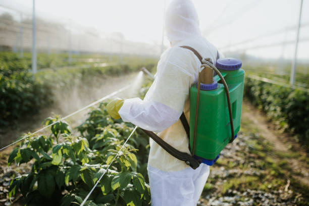 Pest Prevention Services in Gueydan, LA